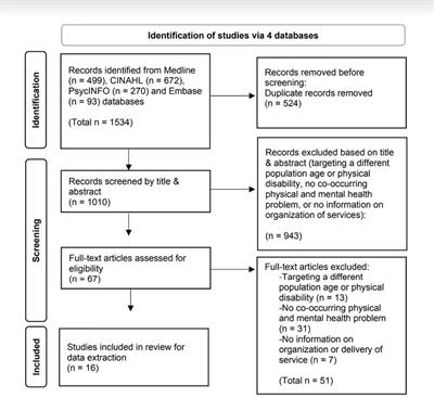 Organization of rehabilitation services for youth with physical disabilities and mental health problems: A scoping review